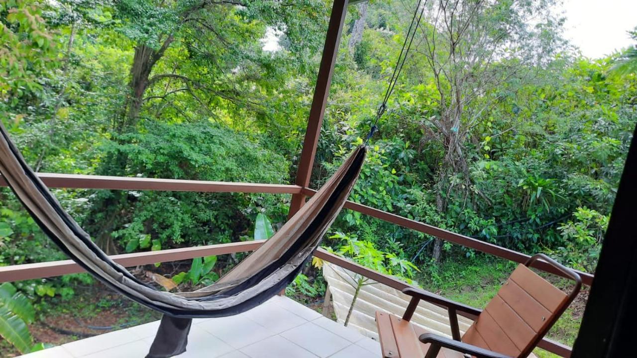 Cabanas Bajo Bosque Drake Drakes Bay المظهر الخارجي الصورة
